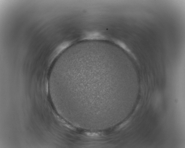 X0000082171221200701262351