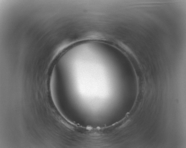 X0000082171222200701262351