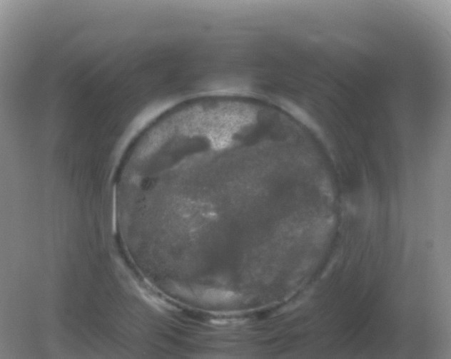 X0000082171223200701262351