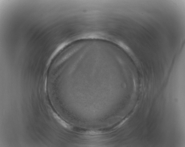 X0000082171224200701262351