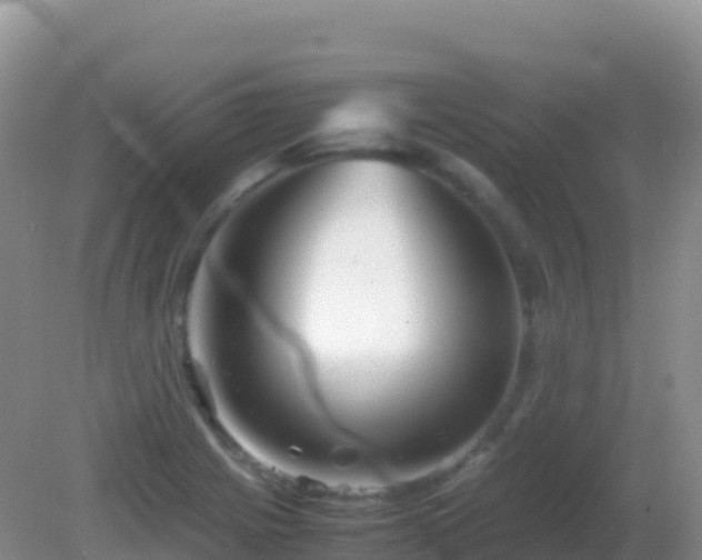 X0000082171225200701262351