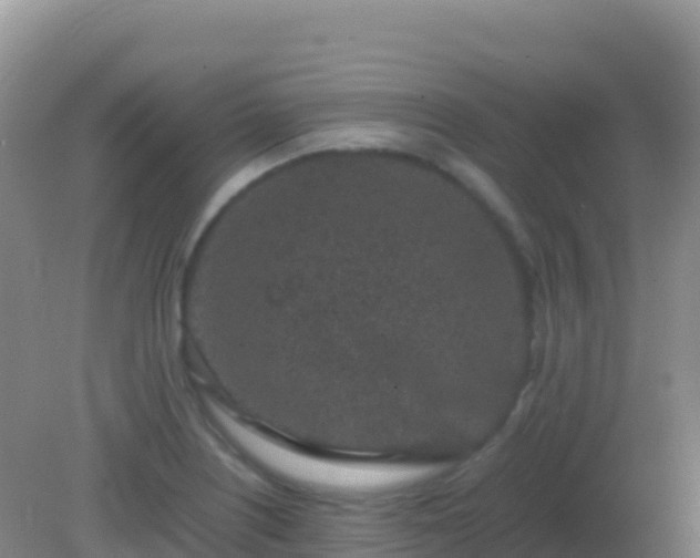 X0000082171226200701262351