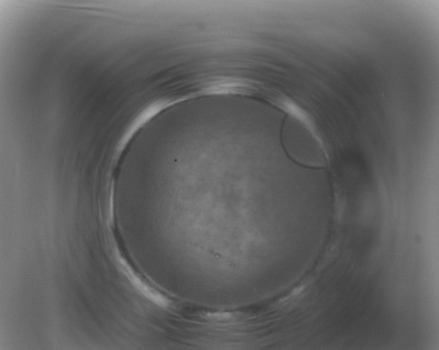 X0000082171227200701262351