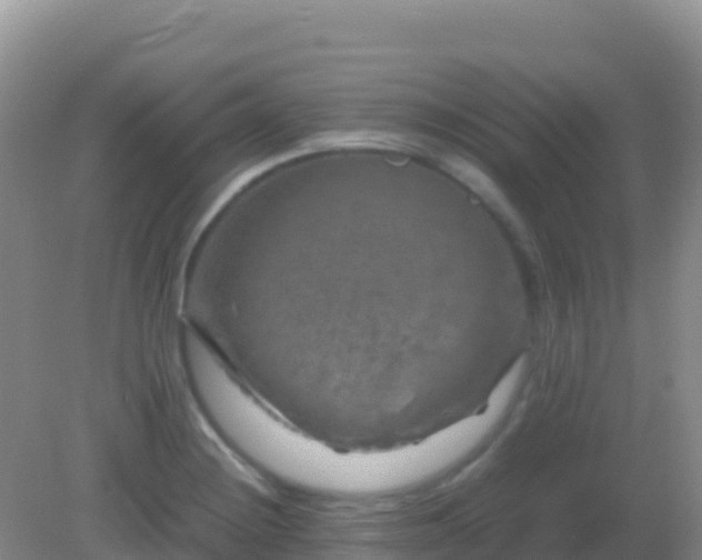 X0000082171228200701262351