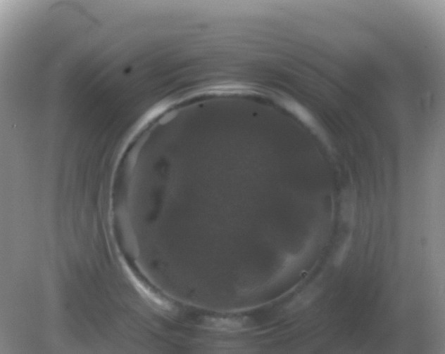 X0000082171229200701262351