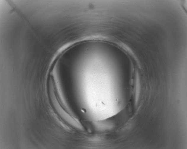 X0000082171230200701262351