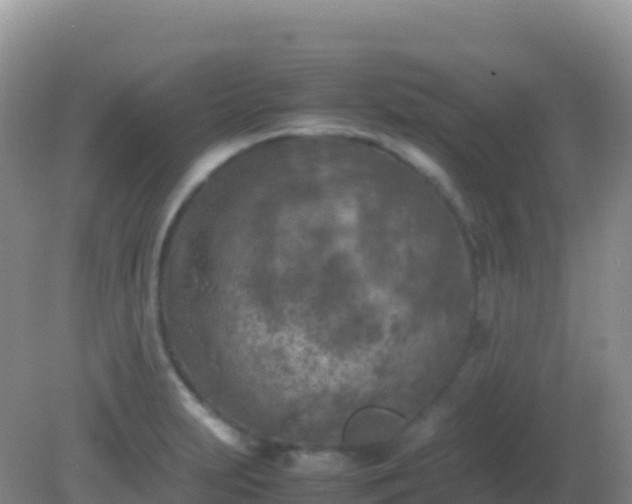 X0000082171231200701262351