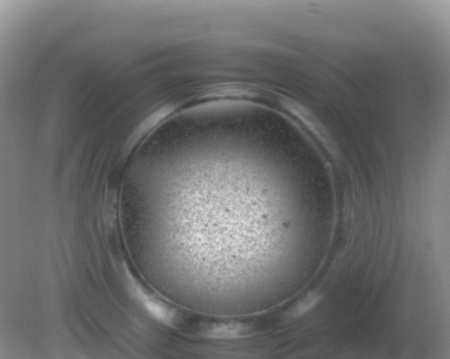 X0000082171233200701262351