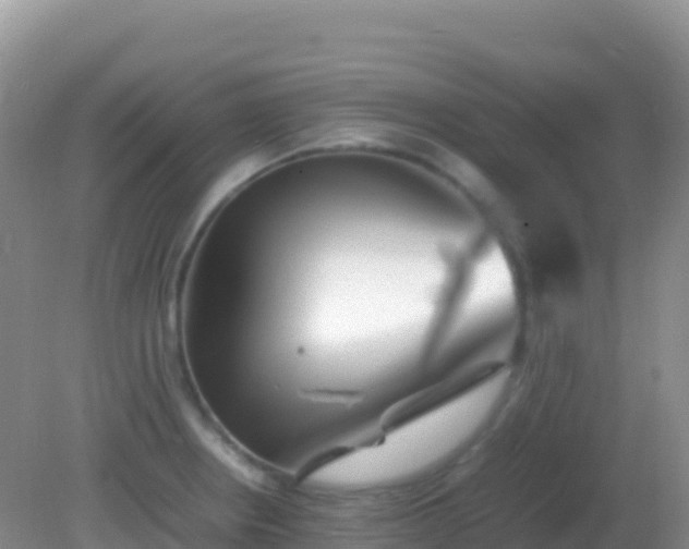 X0000082171234200701262352