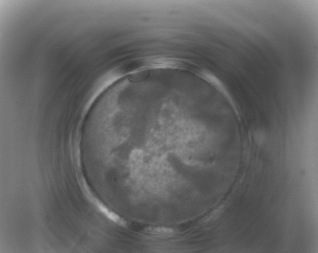 X0000082171235200701262352