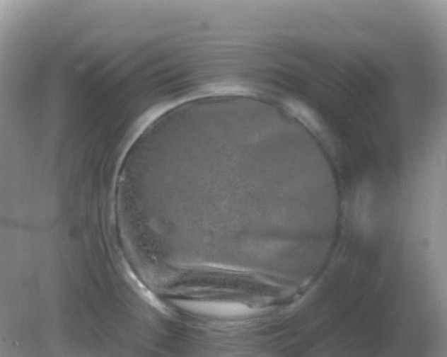 X0000082171236200701262352