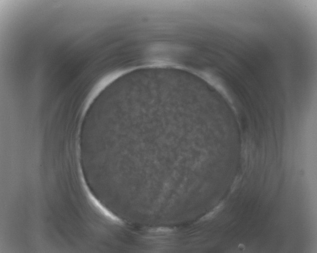 X0000082171239200701262352