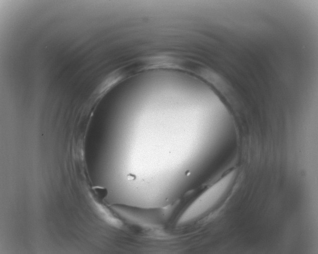 X0000082171241200701262352