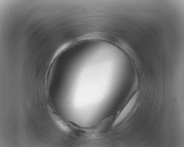 X0000082171242200701262352