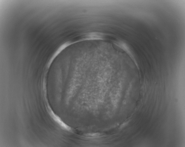 X0000082171243200701262352