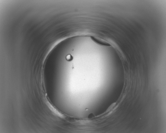 X0000082171244200701262352