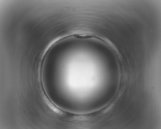 X0000082171246200701262352