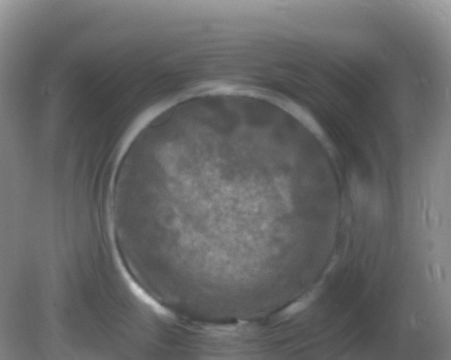 X0000082171247200701262352