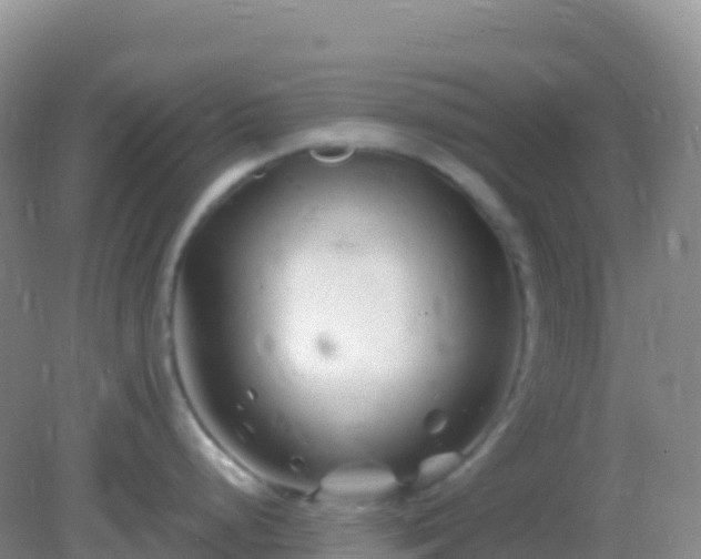 X0000082171248200701262352