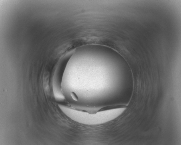 X0000082171250200701262351