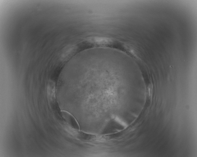 X0000082171251200701262351