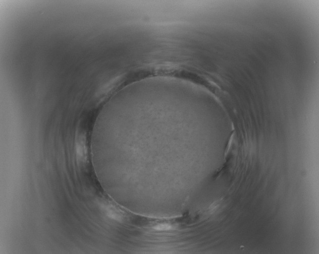 X0000082171252200701262351