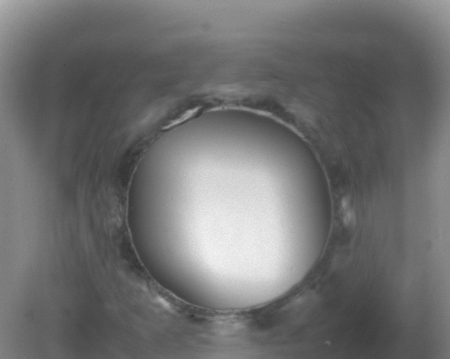 X0000082171253200701262351