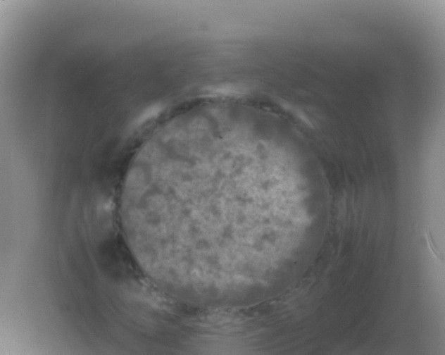 X0000082171254200701262351