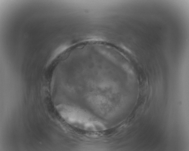 X0000082171255200701262351