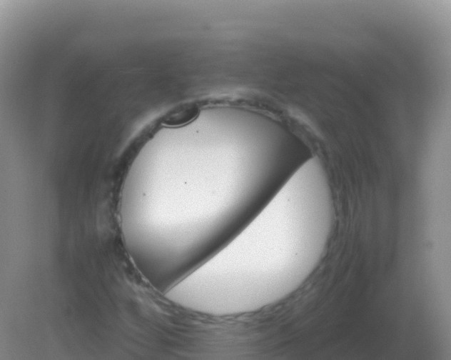 X0000082171256200701262351