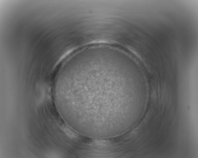 X0000082171258200701262351