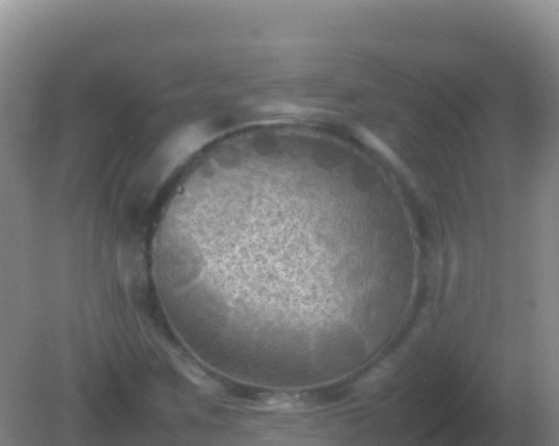 X0000082171259200701262351