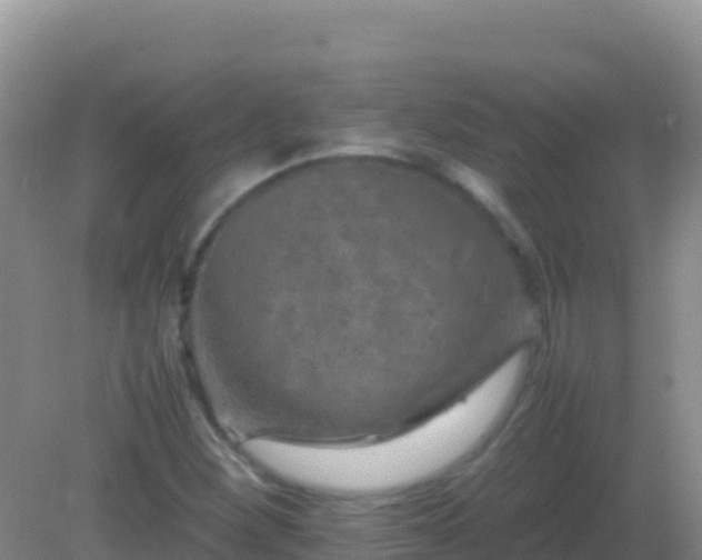 X0000082171260200701262351