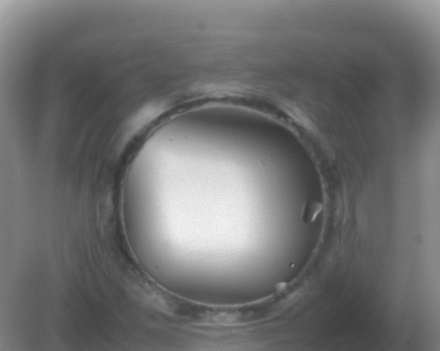 X0000082171261200701262351