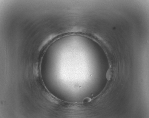 X0000082171262200701262351