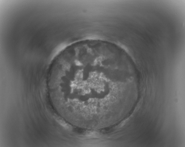 X0000082171263200701262351