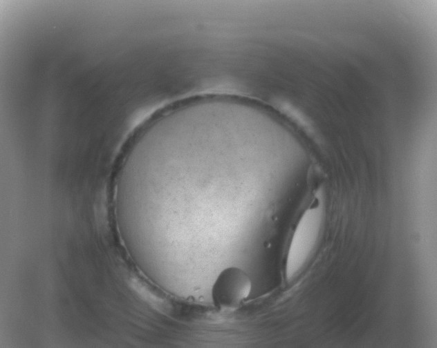 X0000082171264200701262351