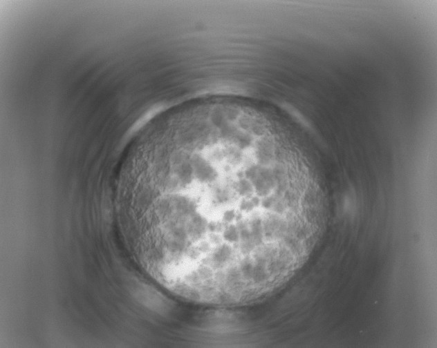 X0000082171266200701262351