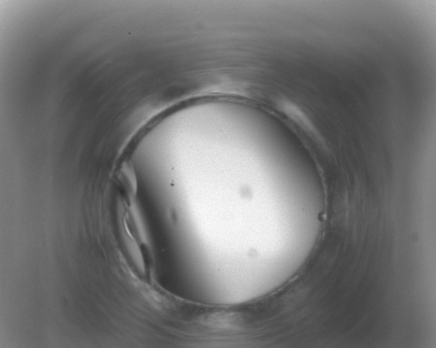 X0000082171268200701262351