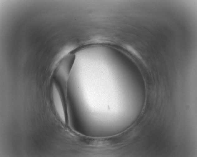 X0000082171269200701262351