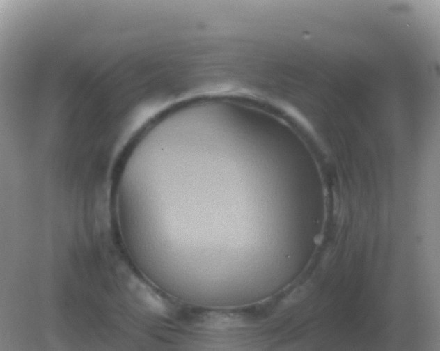 X0000082171270200701262351