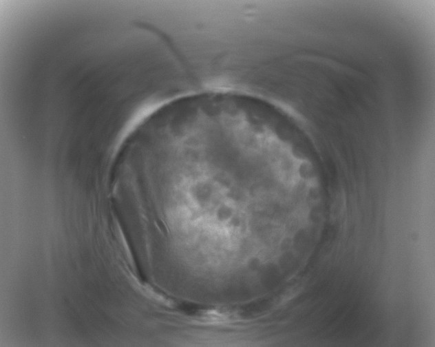 X0000082171271200701262351