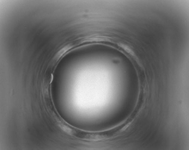 X0000082171273200701262351