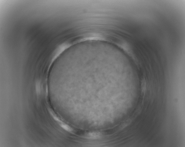 X0000082171274200701262351