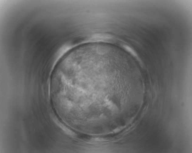 X0000082171275200701262350