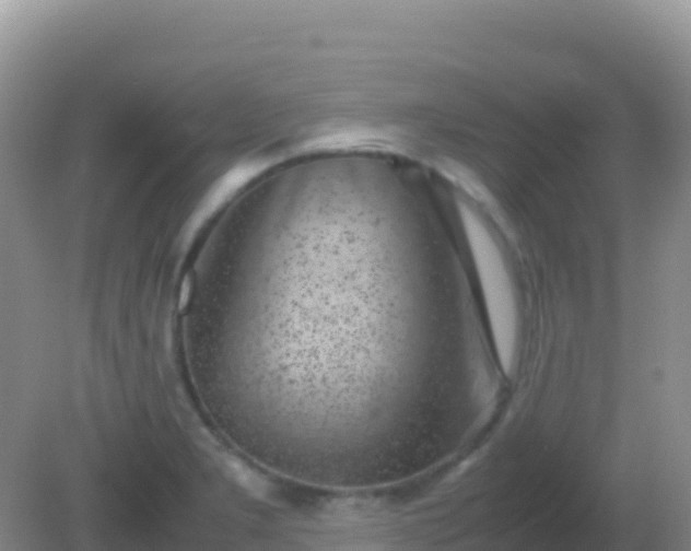 X0000082171277200701262350