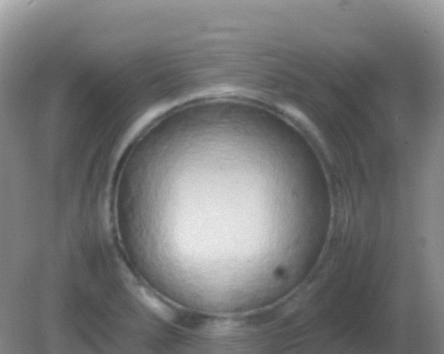 X0000082171278200701262350