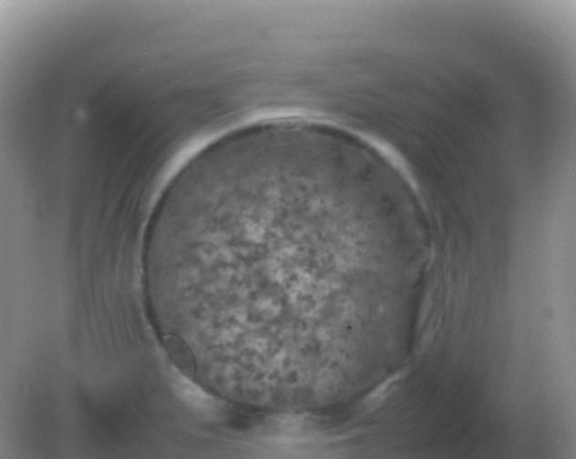 X0000082171279200701262350