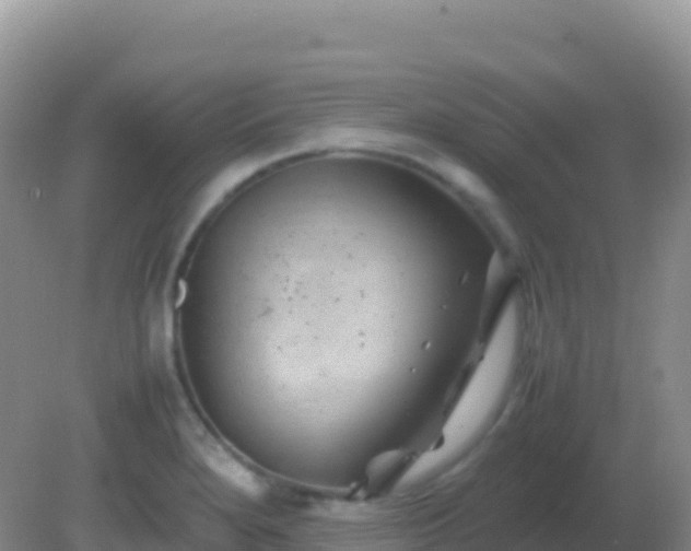 X0000082171280200701262350