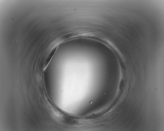 X0000082171281200701262350